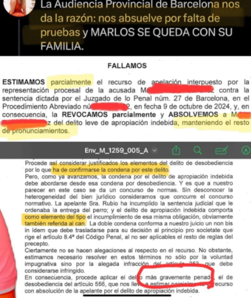 javioliveira's tweet photo. 🤡 https://t.co/5lc47ETjLf