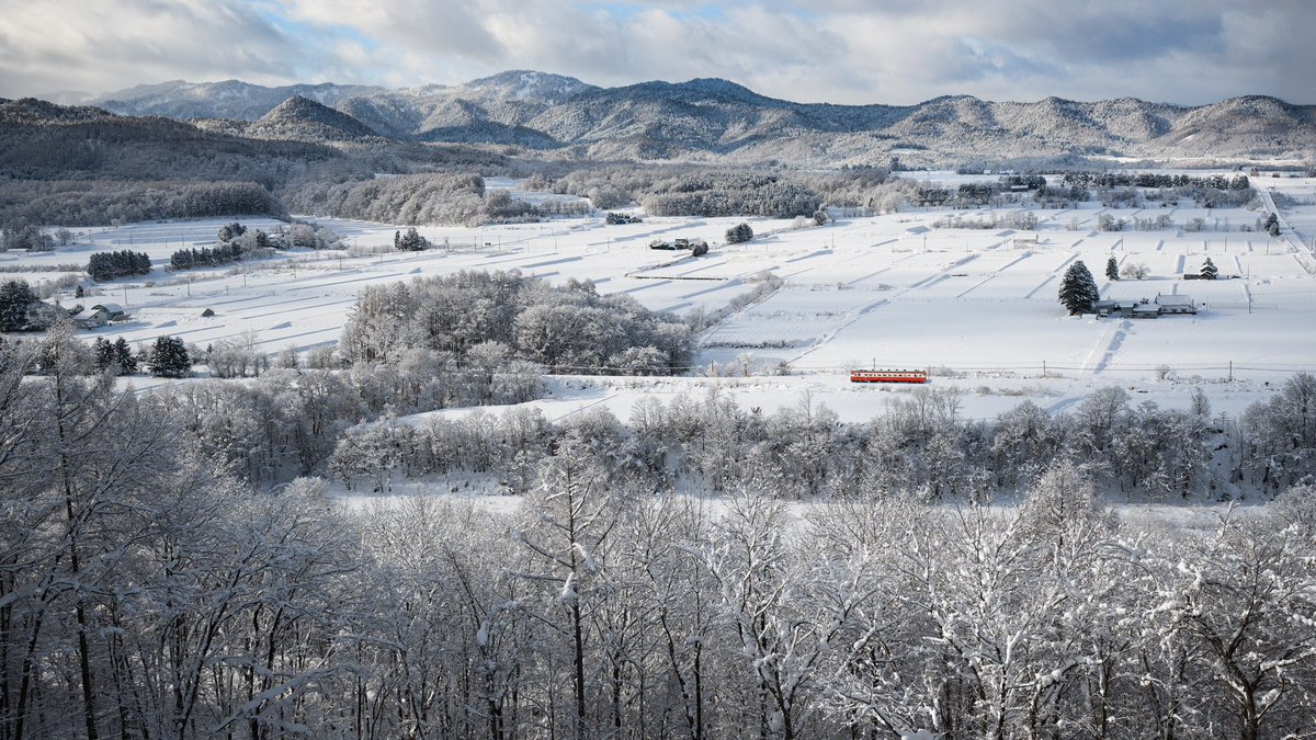 Shirakumo tweet media