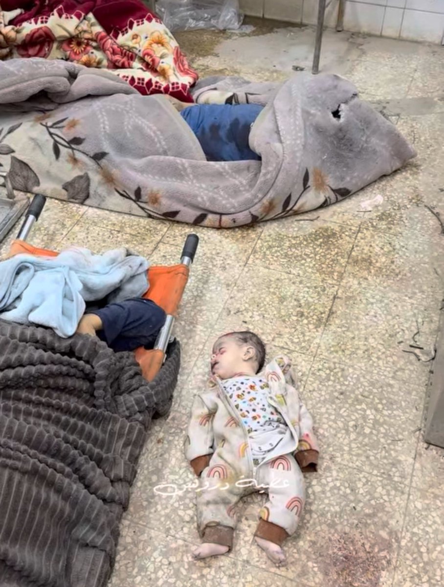 لولا احمد tweet media