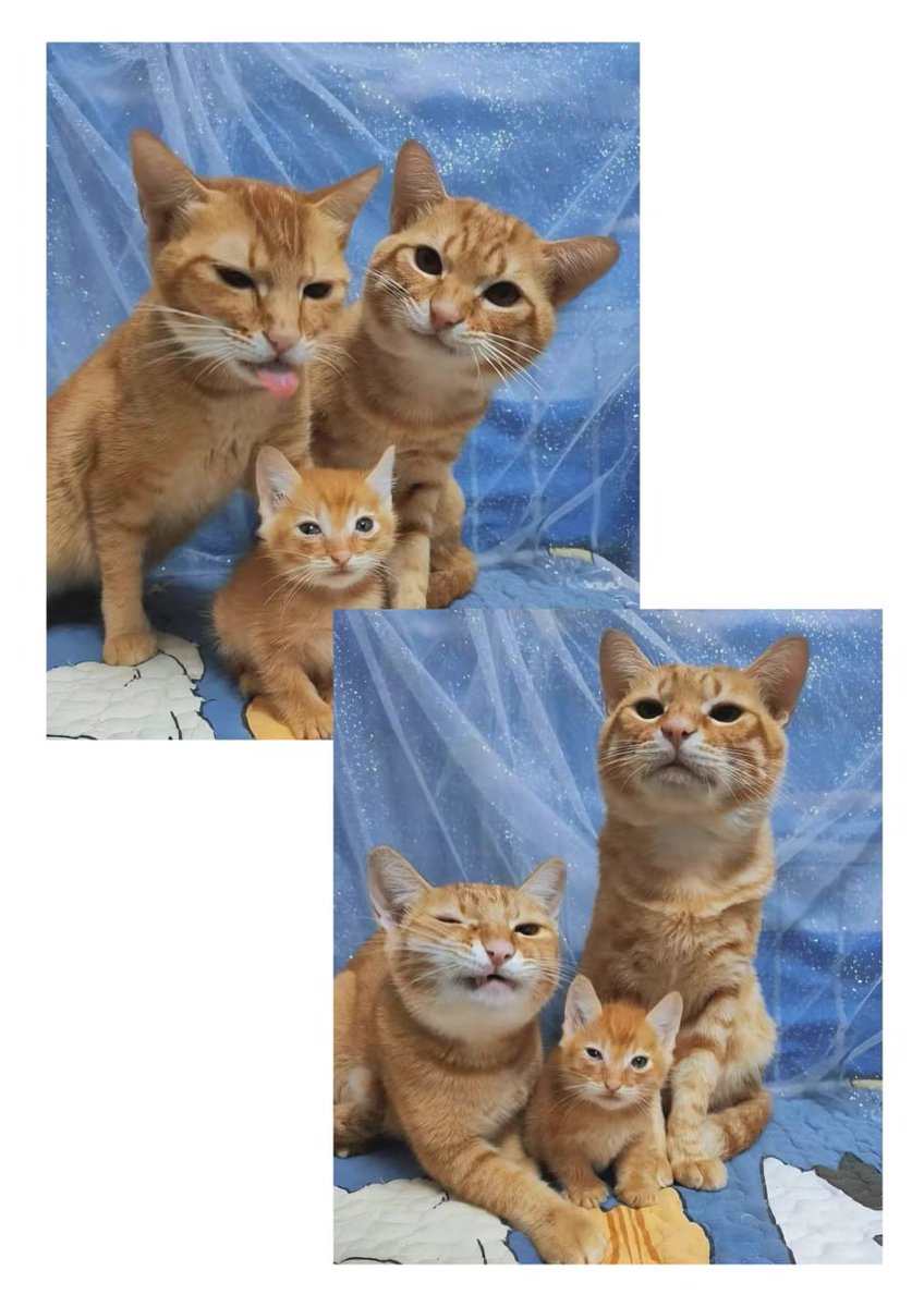 Family photo 🥰🤲❤️ 
#qiurong