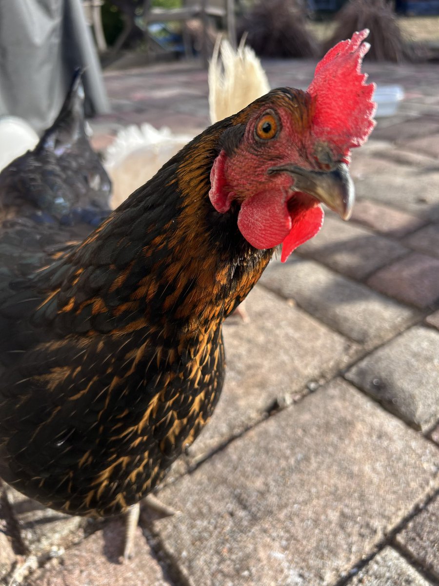 Changing Junifer’s legal name to Calamity June