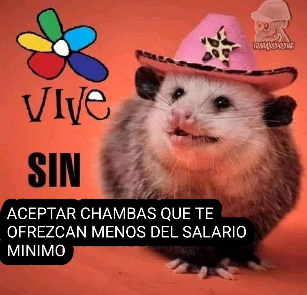 No siempre se tiene la plena libertad de elegir 🤷🏽