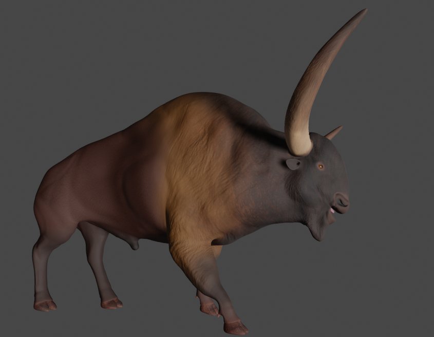 Abrahamdinofan5's tweet image. (My first mammal 3D model)
Bison latifrons