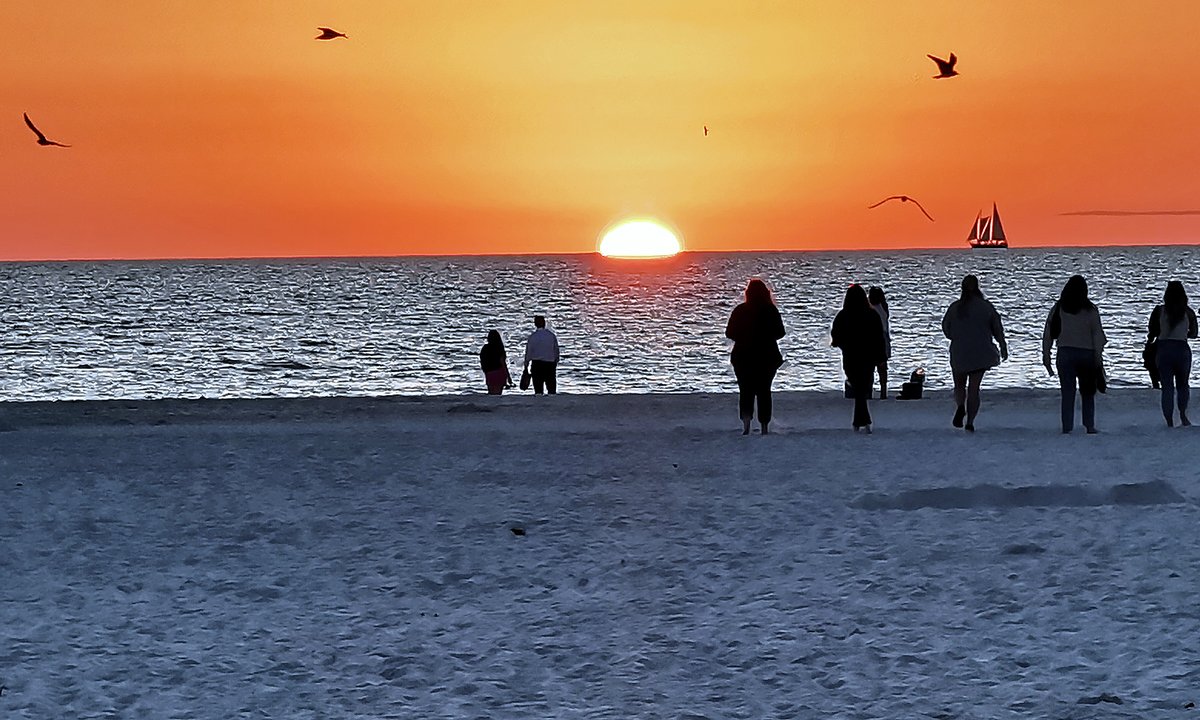 Steve Platsis tweet media