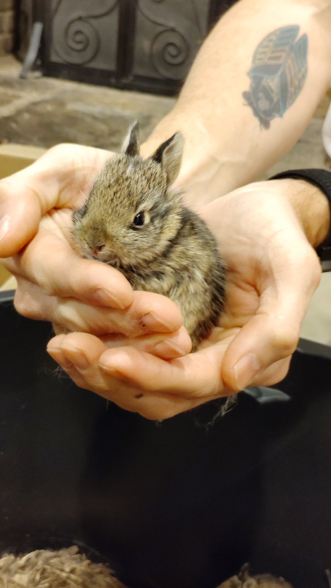 Jeremy Tucker tweet media