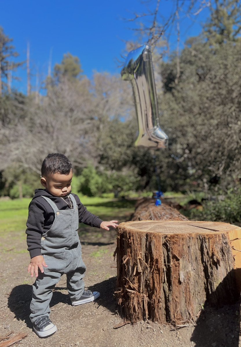 3.16 is forever my favorite day