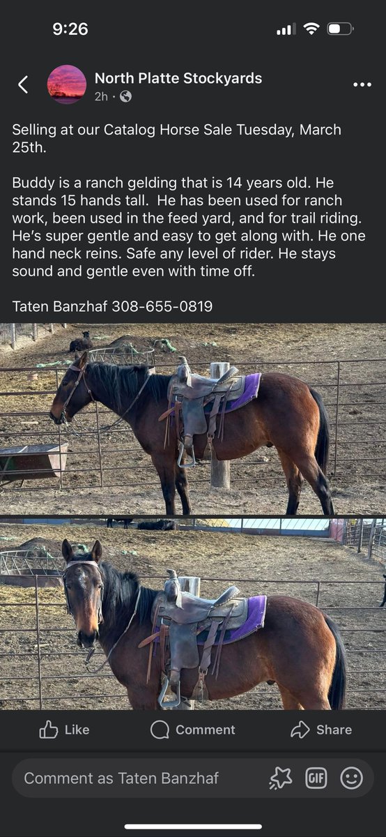 Taten Banzhaf (@tbanzhaf_52) on Twitter photo 