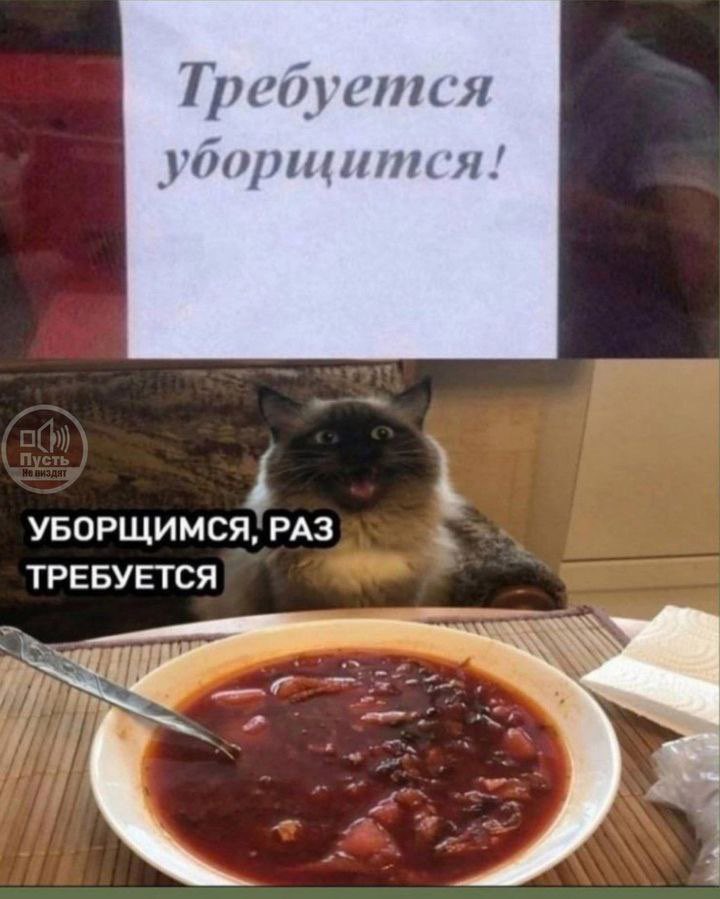 Константин Де Брильи (@dambs) on Twitter photo 