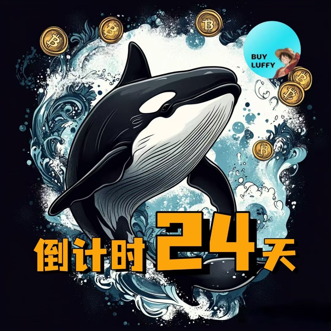 ADL.luffy (@luffyadl89432) on Twitter photo 