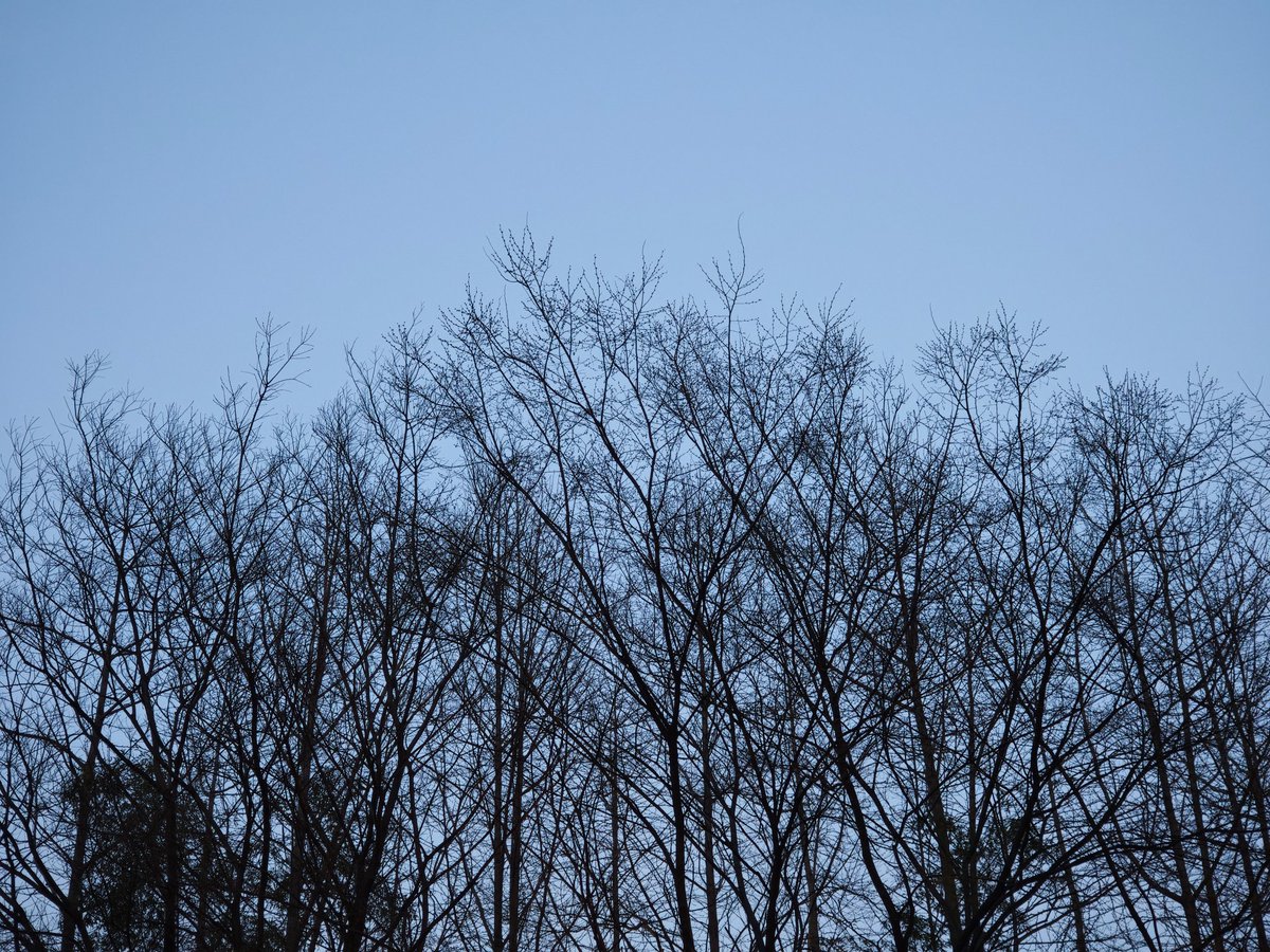 JIANGAIZE (@cashewunss) on Twitter photo 