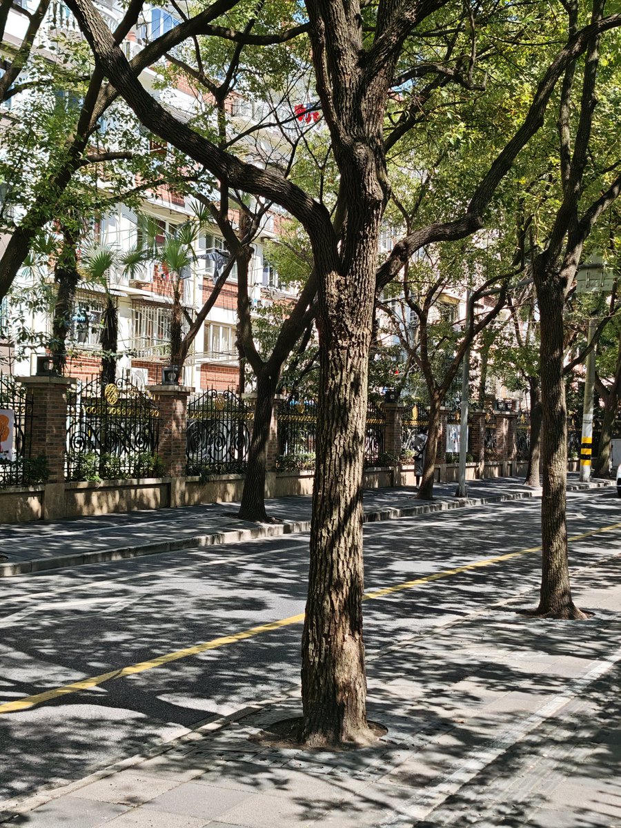 JIANGAIZE (@cashewunss) on Twitter photo 