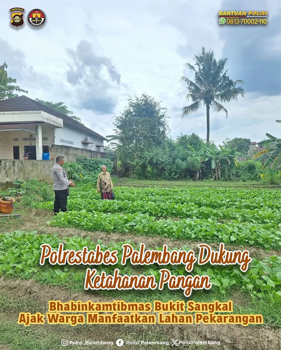 #Repost <a href="/Spktpolrestabes/">SPKT POLRESTABES PALEMBANG</a>
Polrestabes Palembang Dukung Ketahanan Pangan, Bhabinkamtibmas Bukit Sangkal Ajak Warga Manfaatkan Lahan Pekarangan

Bhabinkamtibmas Kelurahan Bukit Sangkal, Aiptu Nopi Herlankani, S.H, terus mendorong masyarakat untuk memanfaatkan lahan pekarangan