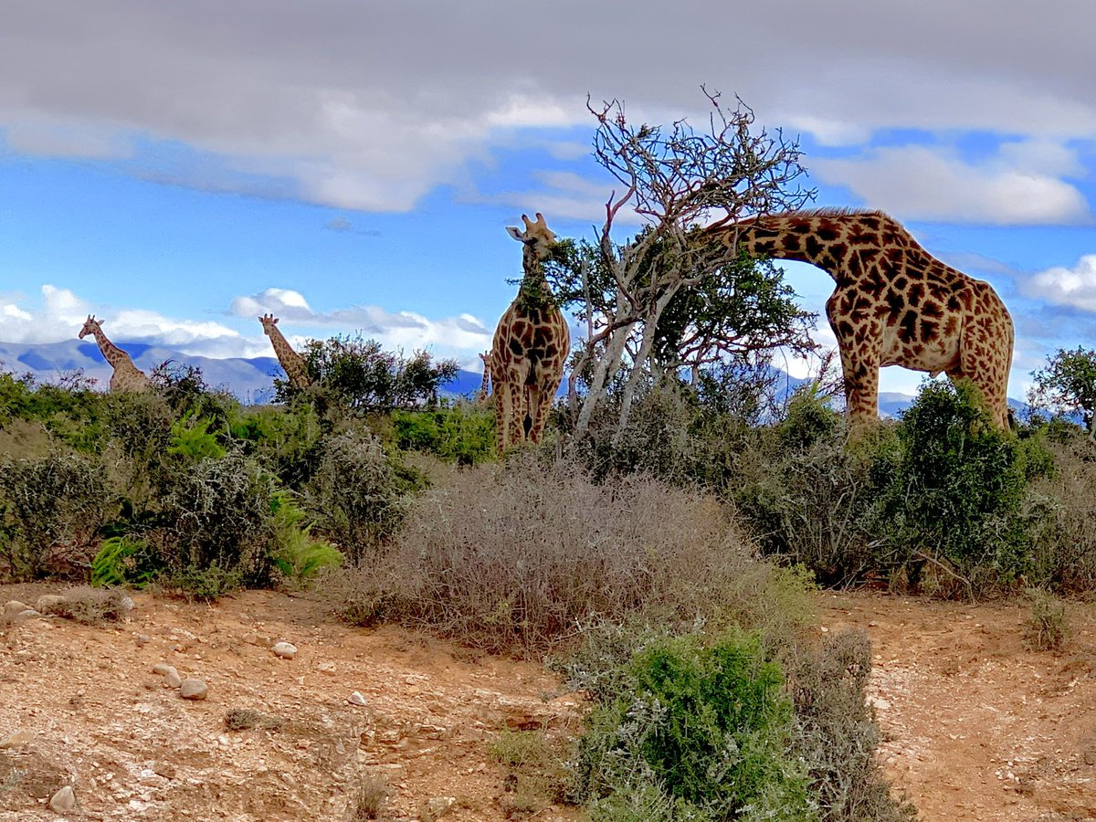 Dobber (@dobber409) on Twitter photo 