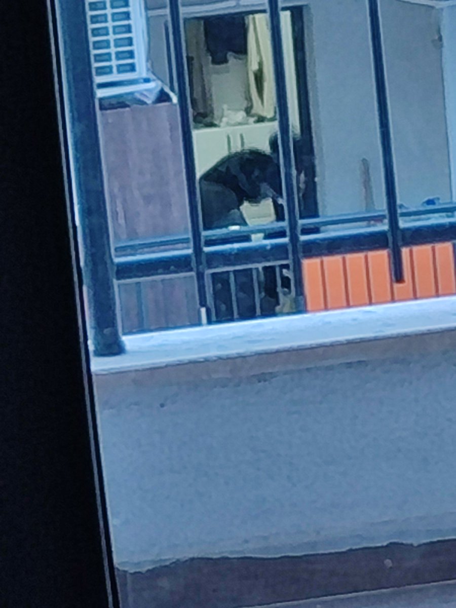 Ayşenur Banu Pehlivan Gerçek orijinal (@ayenurbanupehli) on Twitter photo 