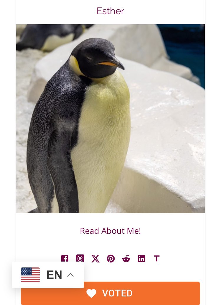 Leconte_'s tweet photo. #MOTPM 投票完了🗳✨
Newport Aquarium @NewportAquarium 38歳のヒゲペンギン #Whitey
https://t.co/1eUKiln0nb
and
#SeaWorldSanDiego 32歳のエンペラーペンギン #Esther
https://t.co/TlRDNHk9ii
ひとまず2羽🐧🐧
#MOTPM2025 https://t.co/35YJUawPSC
#ChinstrapPenguin #EmperorPenguin https://t.co/Jf4RR8Tm7p