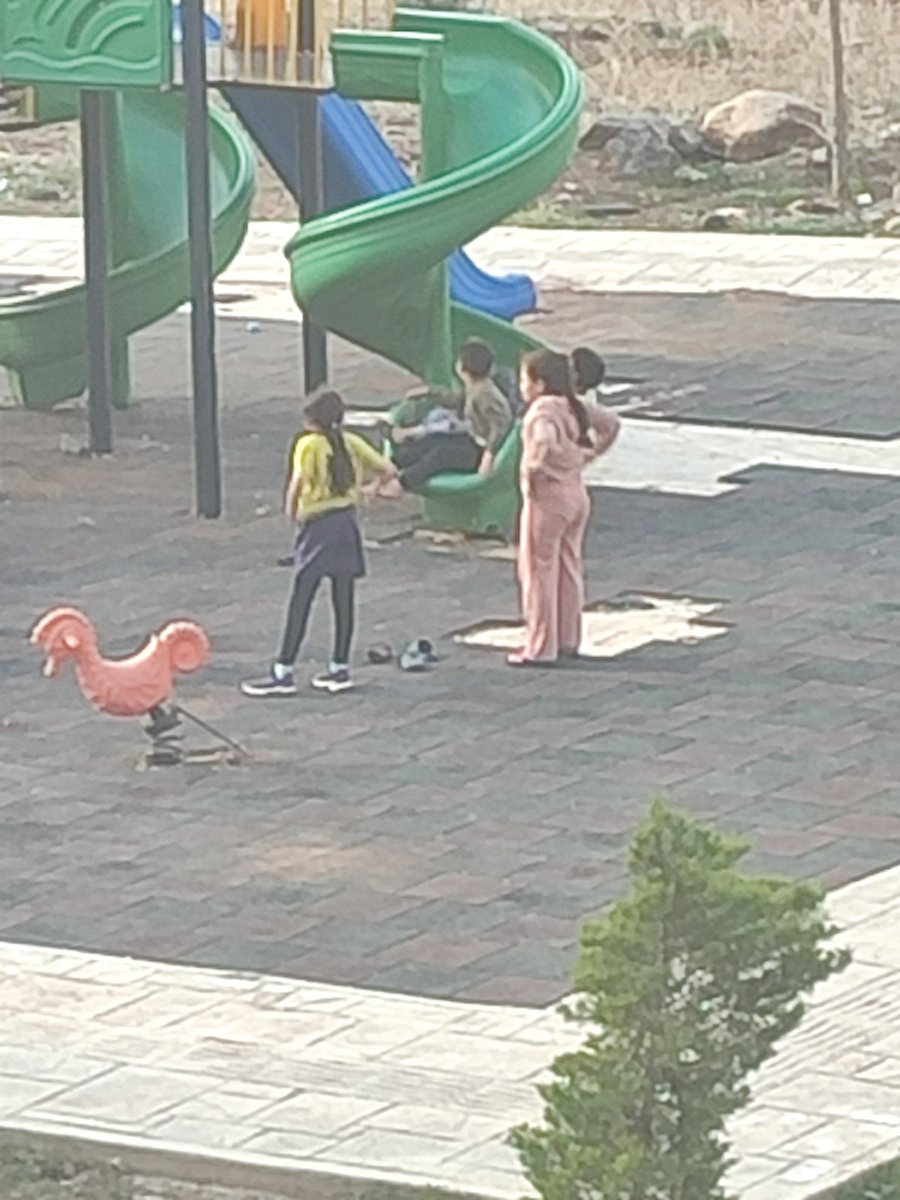 Ayşenur Banu Pehlivan Gerçek orijinal (@ayenurbanupehli) on Twitter photo 