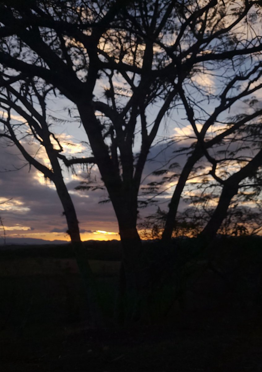 La puesta de sol es un incendio / que el cielo apaga con la noche.  
    — Vicente Huidobro