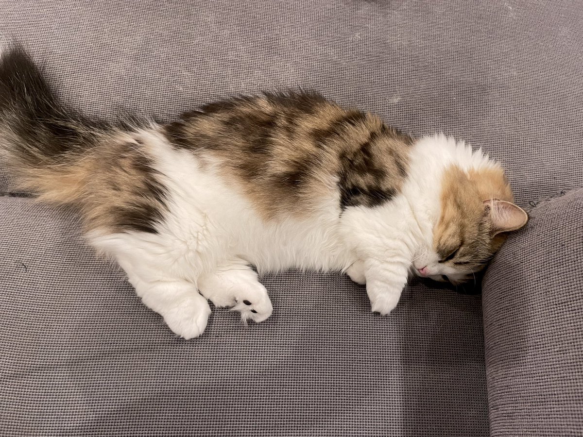 うらら (@___u__ra__ra___) / Posts / X