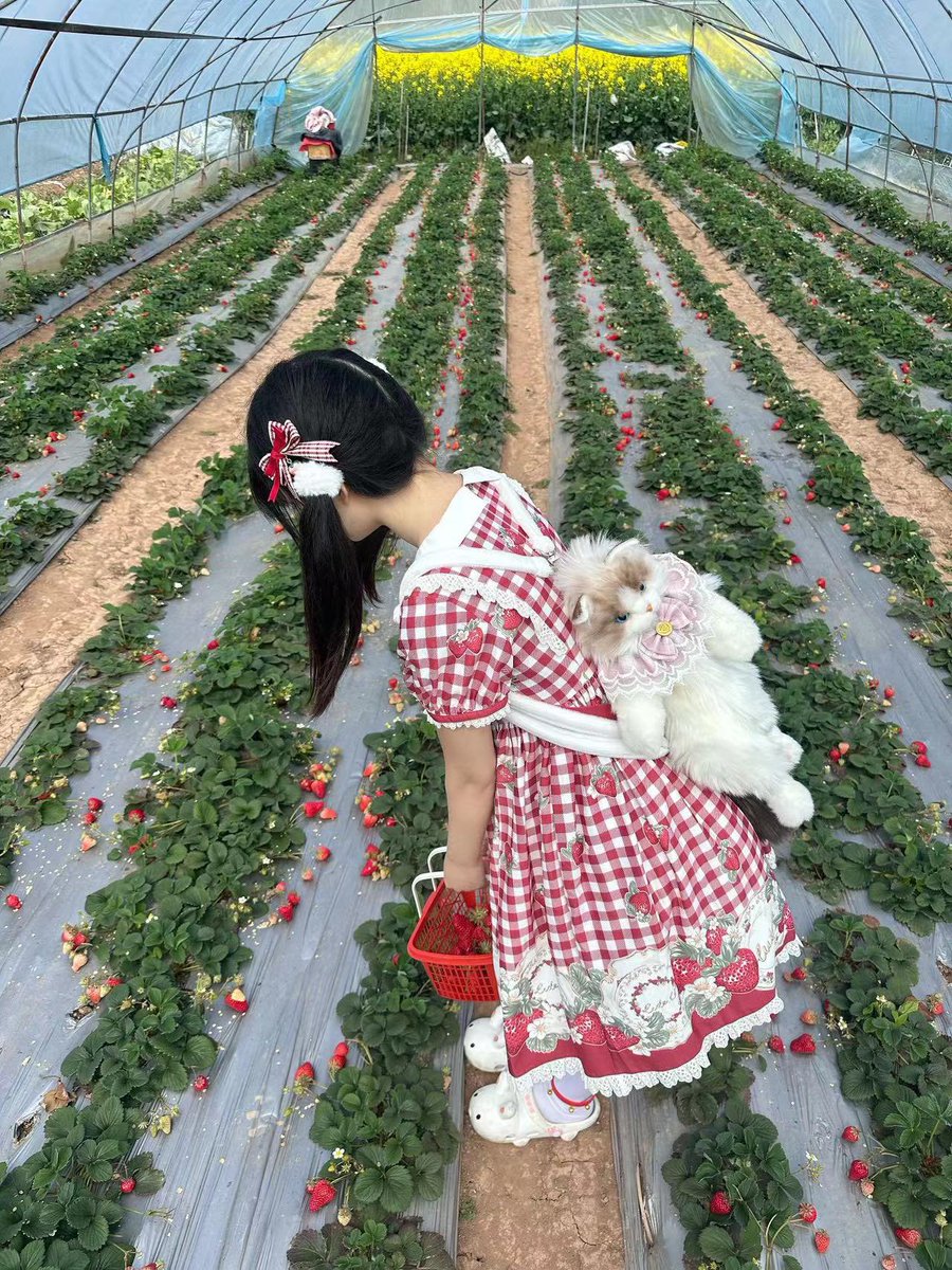 没更新的这几天是吃不起饭回家种地了