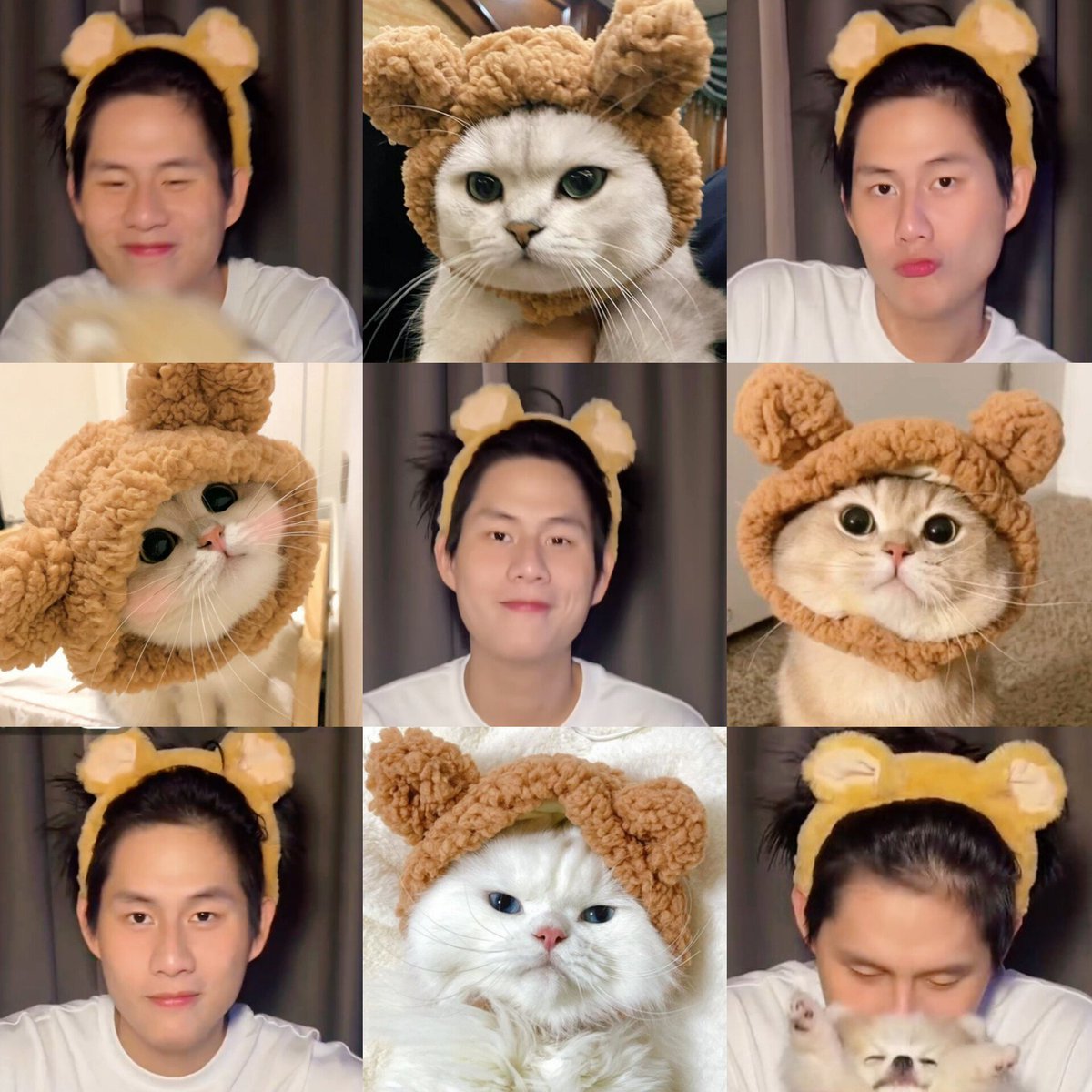 pavxfav's tweet photo. #winynny meow😽🤎 https://t.co/0DypMFuMzM