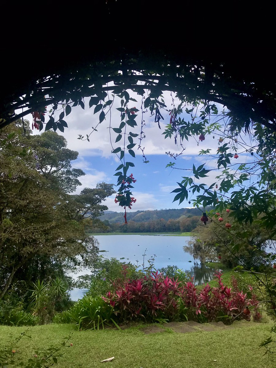 Firefly Shire 🌙✨ tweet media