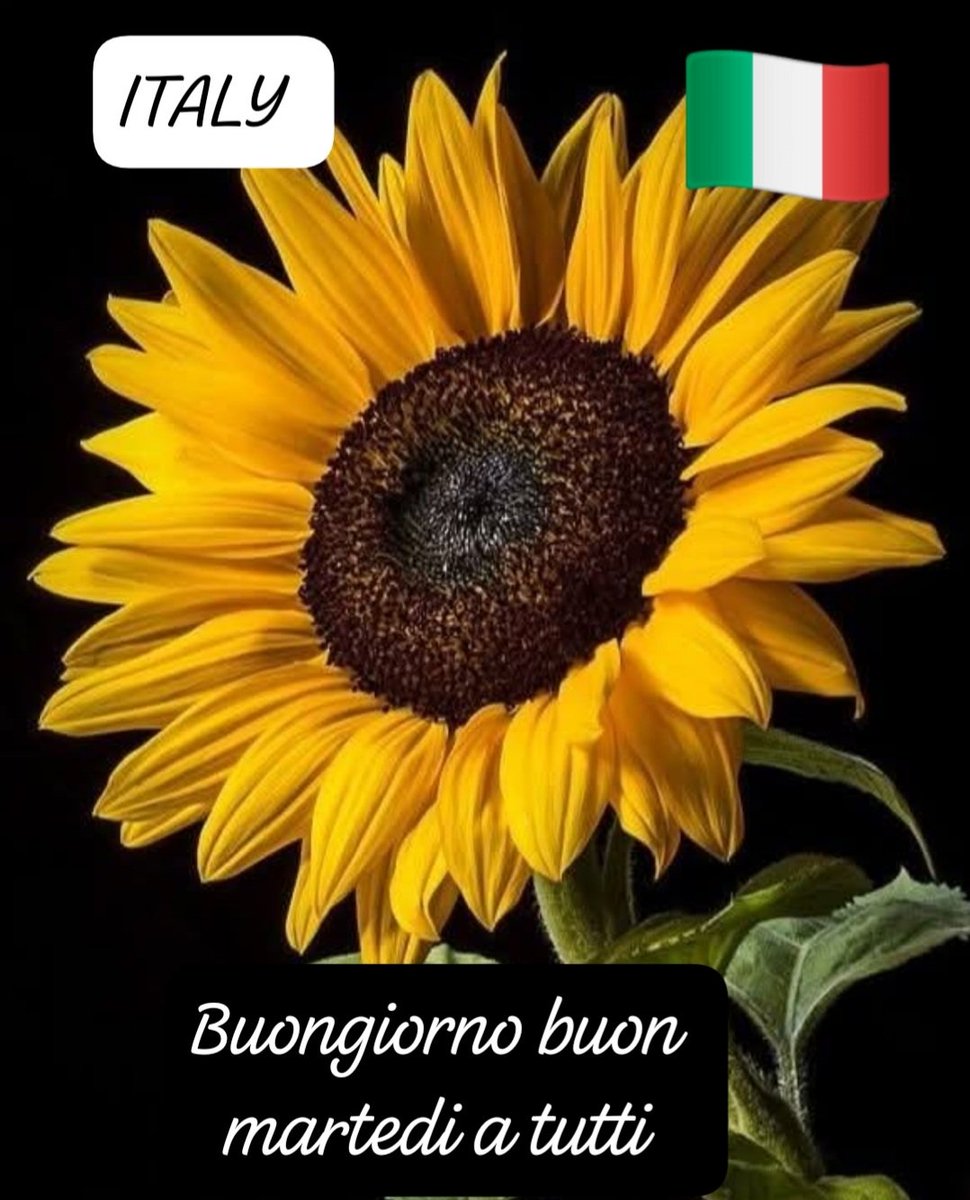 Cristóbal Peña tweet media