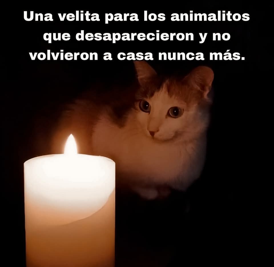En Júpiter tweet media