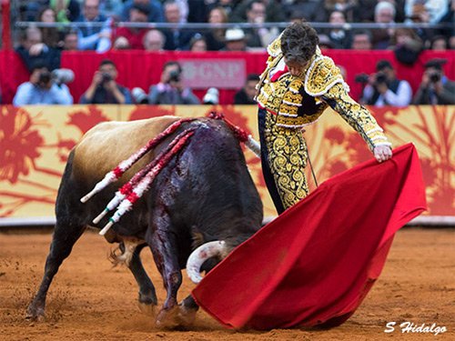 paco1rafigura's tweet photo. ¡VIVAN LAS CORRIDAS DE TOROS! ¡VIVAN LAS PELEAS DE GALLOS! ¡VIVA LA CHARRERIA!
¡VIVA LA LIBERTAD! https://t.co/ZnlfdK79X4