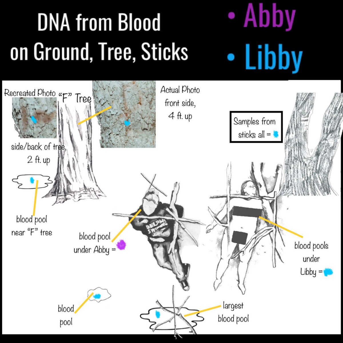 deblanc_jenna's tweet image. Would you like to know WHY there’s no unknown FEMALE DNA all over these graphics? Bc the tech was told by LE to only look for male DNA. That’s also why the only unknown female samples we have are HAIRS, not DNA. 

Go ahead and scream. I did too. 😞

#delphi