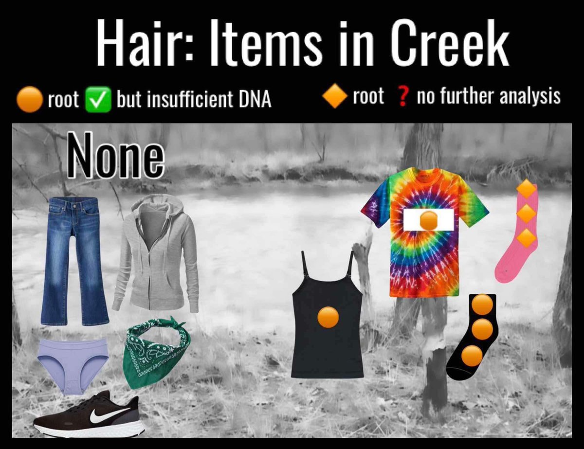 deblanc_jenna's tweet image. Would you like to know WHY there’s no unknown FEMALE DNA all over these graphics? Bc the tech was told by LE to only look for male DNA. That’s also why the only unknown female samples we have are HAIRS, not DNA. 

Go ahead and scream. I did too. 😞

#delphi