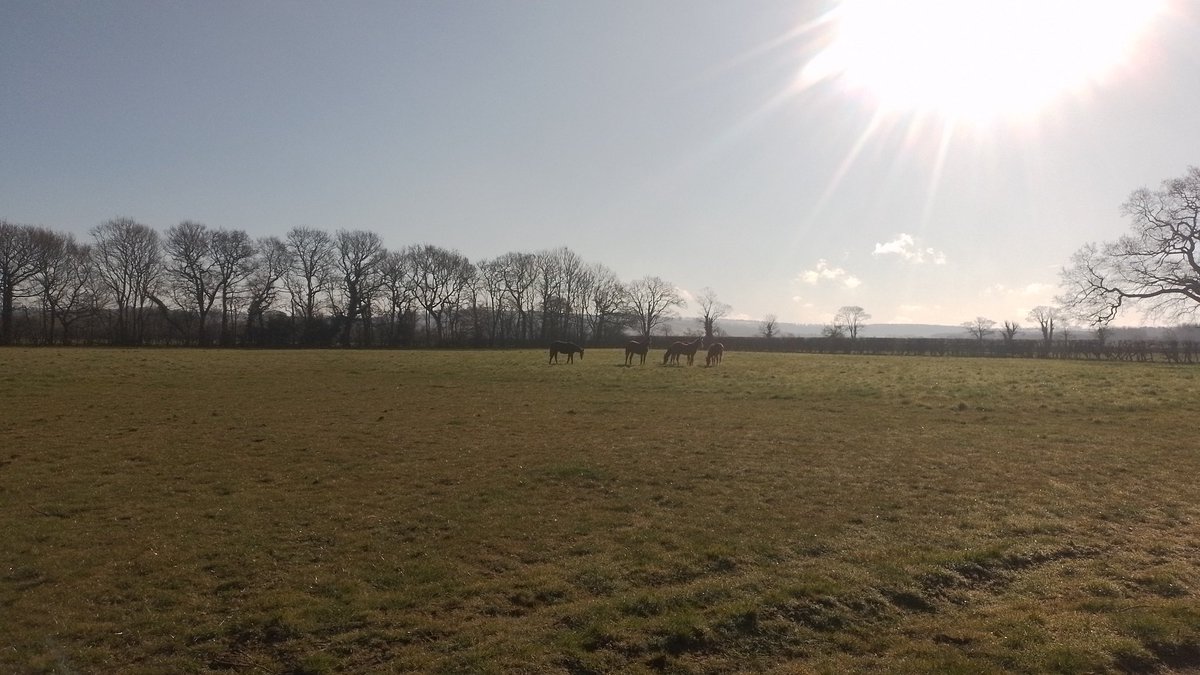 New field day for the big boys today