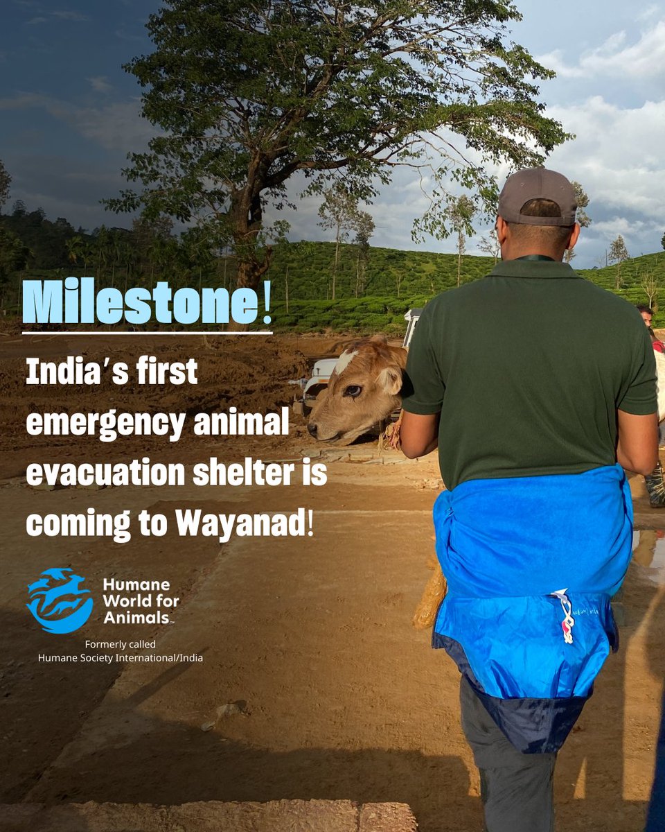 Humane World for Animals India (@humaneworldind) on Twitter photo A first for Indiaโs animals! ๐พ๐ก
With <a href="/KeralaSDMA/">Kerala State Disaster Management Authority</a> , Wayanad DDMA and Kottathara Panchayat, we're launching Indiaโs 1st Emergency Animal Evacuation Shelter in Wayanad! Opening in 2026, it will safeguard animals before disasters strike. Stay tuned for updates.
#DisasterRelief A first for Indiaโs animals! ๐พ๐ก
With <a href="/KeralaSDMA/">Kerala State Disaster Management Authority</a> , Wayanad DDMA and Kottathara Panchayat, we're launching Indiaโs 1st Emergency Animal Evacuation Shelter in Wayanad! Opening in 2026, it will safeguard animals before disasters strike. Stay tuned for updates.
#DisasterRelief