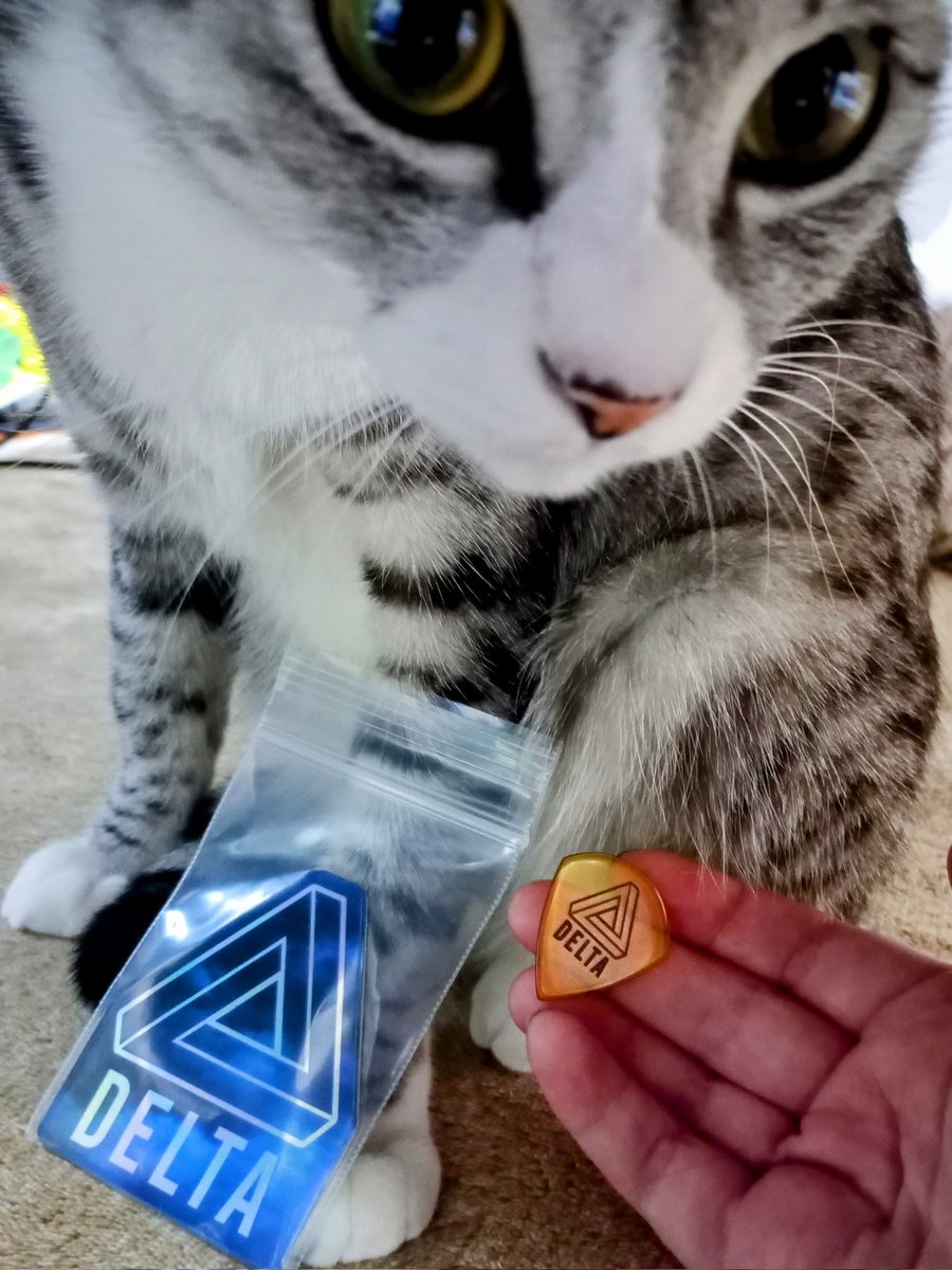 ライブが楽しみ過ぎてそして緊張のあまりにお腹痛いでござるます。（笑）

そして、うちのヌコ、DELTAロゴめっちゃ似合います…