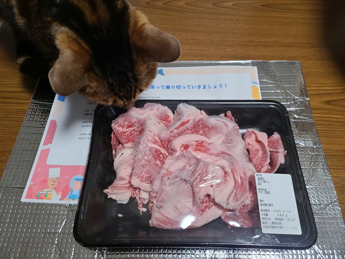 FuuU_U30's tweet photo. WakeAi フードバンクの協賛企業
WELBOX様より国産牛切り落とし300gをご支援いただきました🎶

国産牛久々なんです!!🤣
何でも高いので本当に嬉しい♥️

にゃんこも気になっております🤣
ありがとうございます🥰

#WELBOX 
#福利厚生 
#WakeAi 
#フードバンク
@wakeai_net https://t.co/VuLpULVNcl