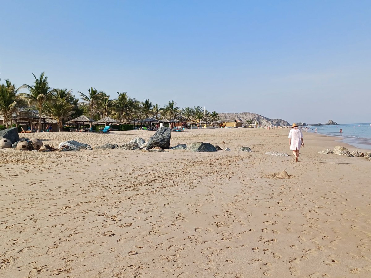 Sally Bromley tweet media