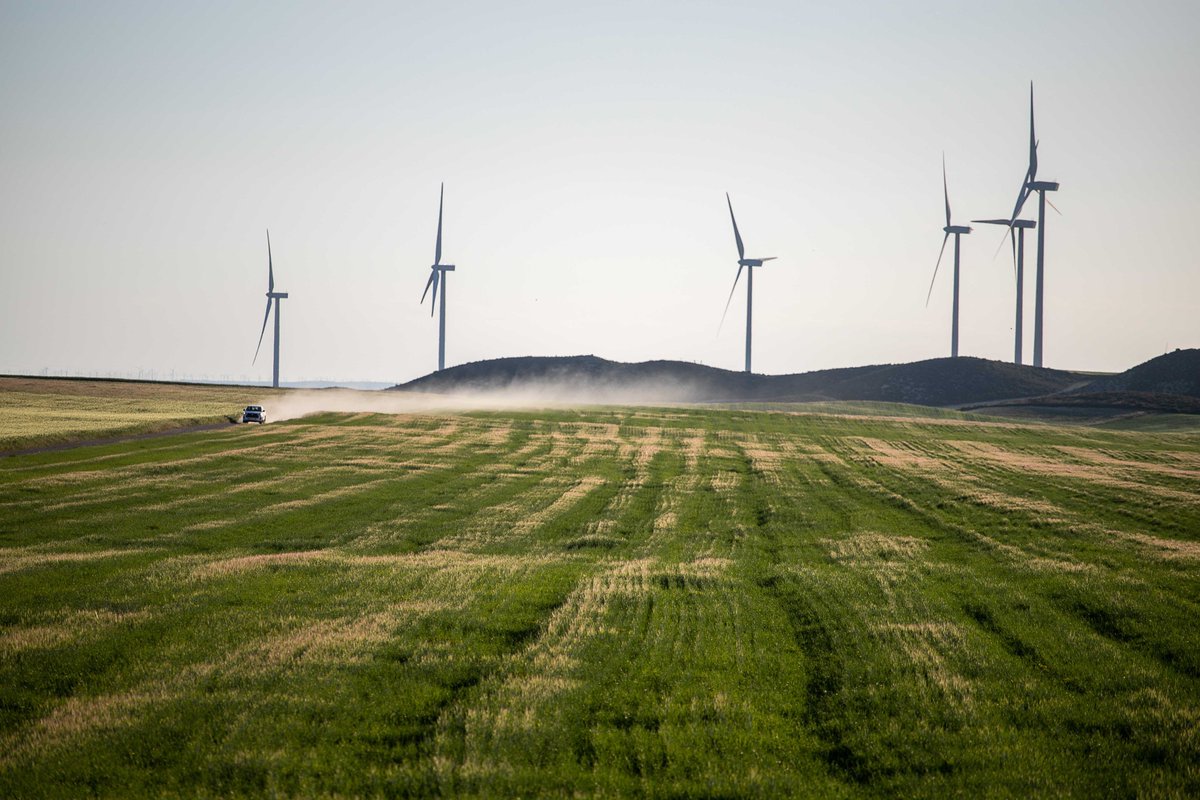📢 Round Table: Renewable Energy &amp; Steppe Birds

 🗓 March 27 | ⏰ 17:30-18:30
 📍 Hall Paraninfo, UCLM
 🔹 Moderator: Manuel B. Morales Prieto (UAM, Steppe Forward Chair)
 🔹 Panelists: Ana Benítez (Spain), Luis Benvente (Spain), Gankhuyag Purev-Ochir (Mongolia), David Howell