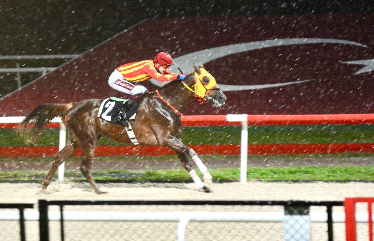 Saygı ve minnetle anıyoruz.🇹🇷