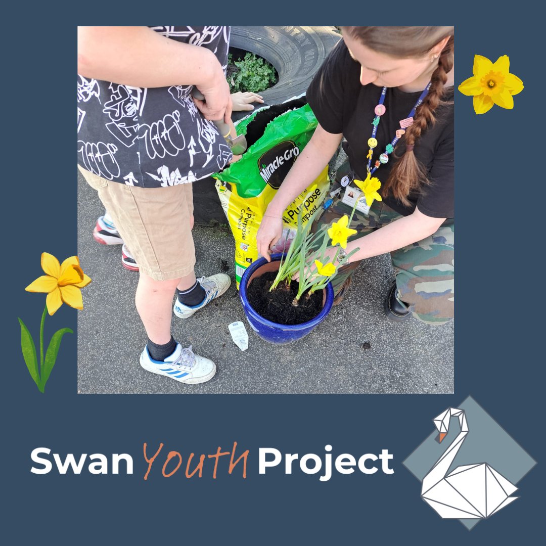 Spring finally looks like it's here and we are loving our cheerful daffs outside the front door
Todays Tuesday session is on from 4.30- 6.30 and is for all young people from age 8
Join us for craft, activity and general fun in the sun