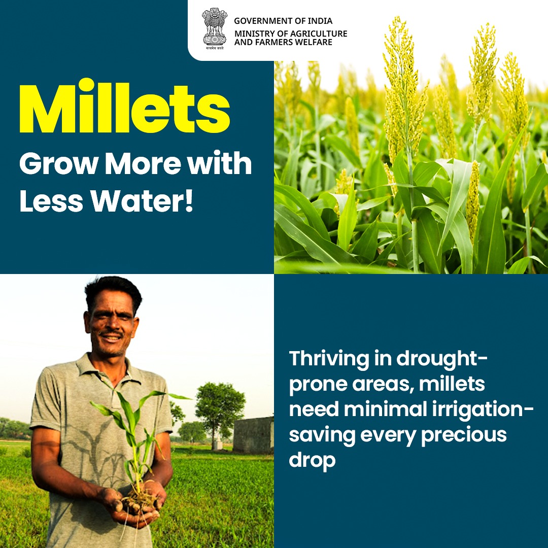 Less water, more yield! Millets are the sustainable solution for water conservation. 

#IYM2023 #ShreeAnna #Millets