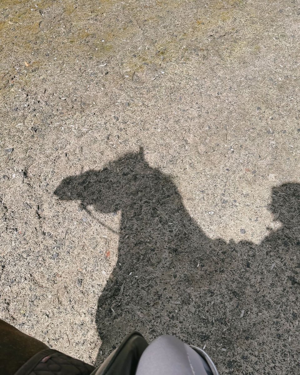 AnshulA40877973's tweet image. 