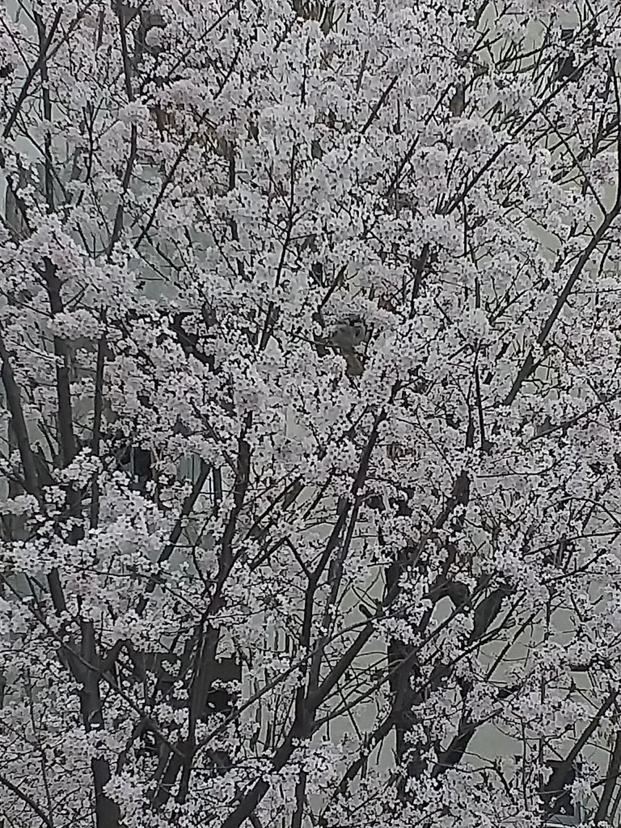 eriesence's tweet image. 