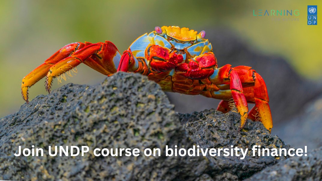 ipbes (@ipbes) on Twitter photo 📢 FREE Biodiversity Finance Course! 🌍💰
Learn to develop finance plans for biodiversity conservation & assess financial needs.
📚 Open to all
🌎 Available in English, French, Spanish & Russian
🔗Organized by <a href="/UNDP/">UN Development</a>
learningfornature.org/en/courses/bio… 📢 FREE Biodiversity Finance Course! 🌍💰
Learn to develop finance plans for biodiversity conservation & assess financial needs.
📚 Open to all
🌎 Available in English, French, Spanish & Russian
🔗Organized by <a href="/UNDP/">UN Development</a>
learningfornature.org/en/courses/bio…