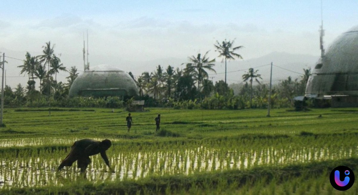 ✨ In the future, #LOVEU will be your starlight guide,
record every warmth and let it become your source of strength