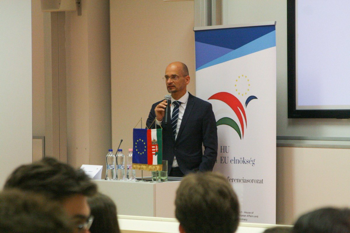 Lost Sheep tweet media