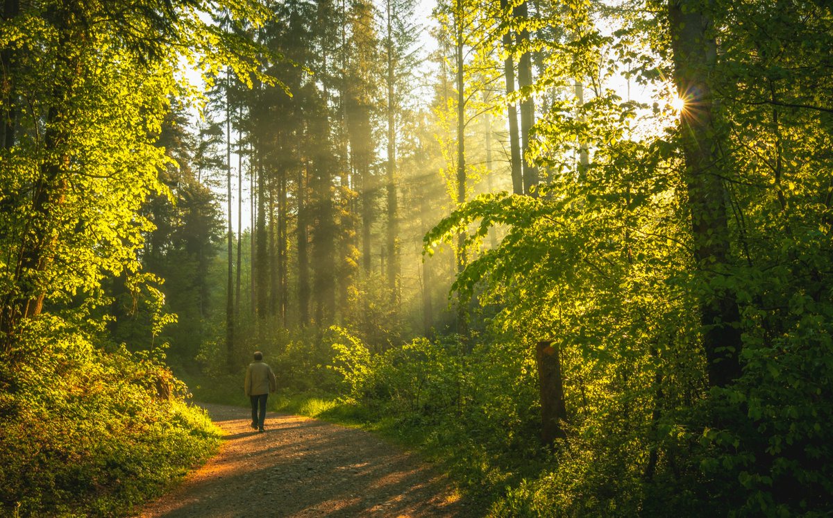 Tess Williams considers the importance of the upcoming April 5th deadline and how this may impact State Pensions.

“The government has set a deadline of 5th April 2025 for people to make up gaps in their National Insurance records from 2006 onwards.”

bit.ly/41wufn1