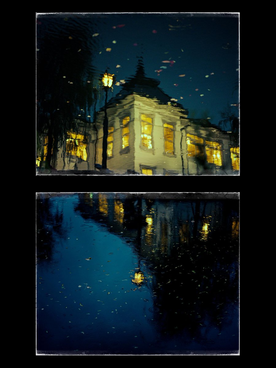meow_photo's tweet image. 水面の写真が流行りらしいので、ゴッホみたいな色の水面置いときます