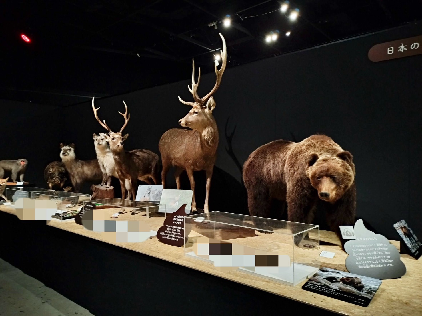 【入手困難】 東脳/トンノウ/TONNOU forMacintosh 入手困難】 東脳/トンノウ/TONNOU forMacintosh - メルカリ