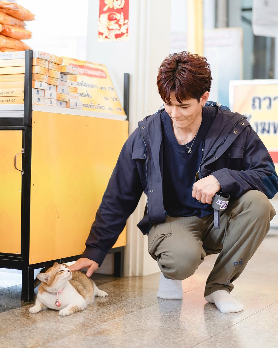 Jaejinniez's tweet photo. สุดแสนจะน่ารักเลยค้าบบบ 🐱💜
#MarkIIIV
#AYUTTHAYAxWithMarkIIIV https://t.co/GvujwJjeHE