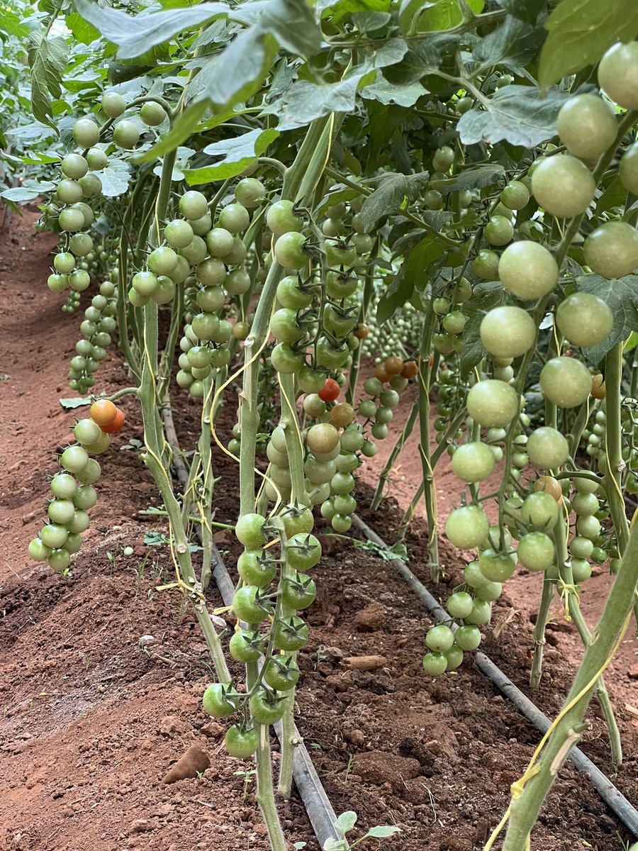 If agriculture goes wrong nothing else will go right