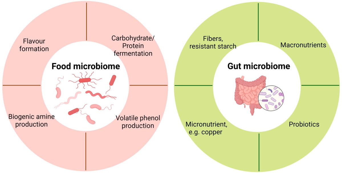 MetabolitesMDPI's tweet image. 🌟 #LastestPaper

📖 #Metatranscriptomics for Understanding the #Microbiome in #Food and #Nutrition Science 
🧑🏻‍🔬By Dr. Chunlong Mu, et al. 

🔗mdpi.com/2218-1989/15/3…
